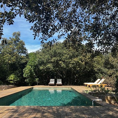 La Canopee Private Ecolodges Nimes Luaran gambar